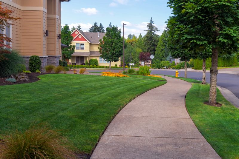 Concrete Sidewalk Replacement